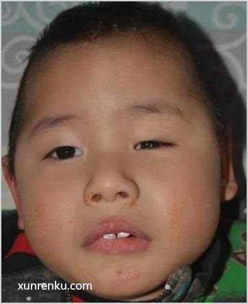 失踪人3岁(目测) 男 李如冰 智力残疾 在邯郸市救助站